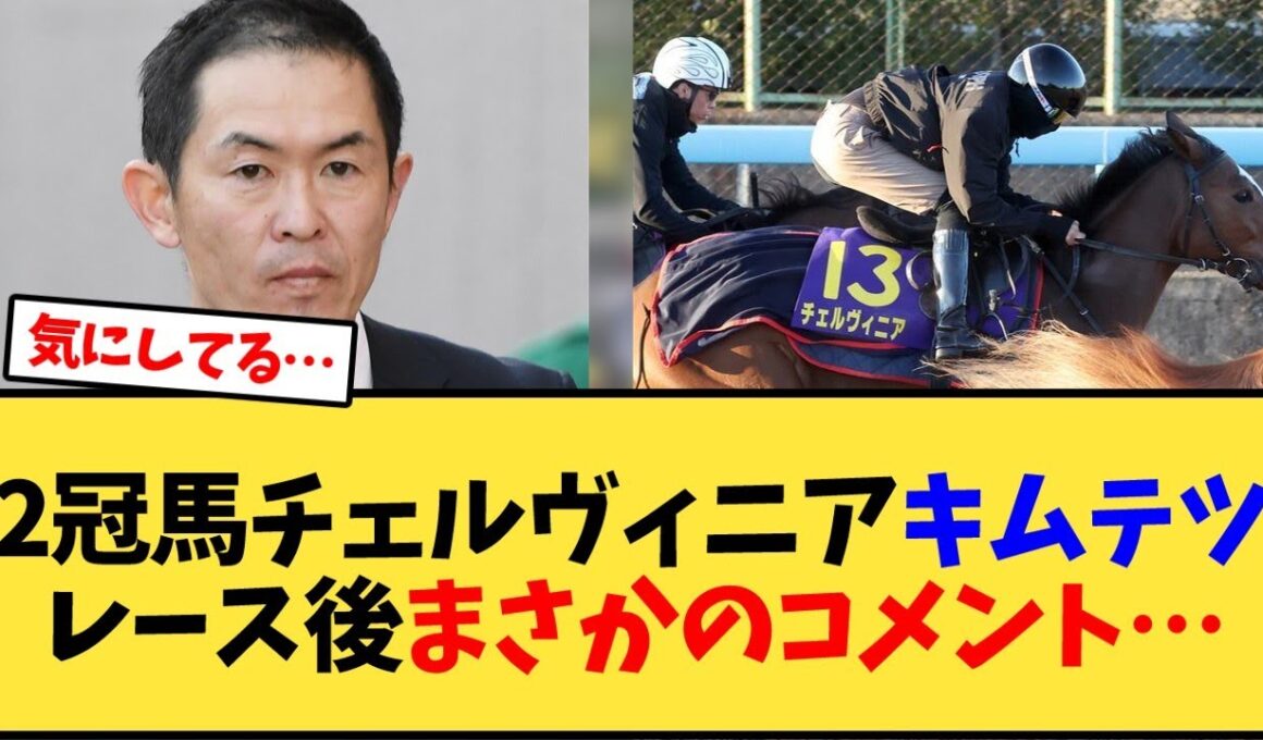 【マイルCS】2冠馬チェルヴィニアキムテツレース後まさかのコメント…【競馬反応集】