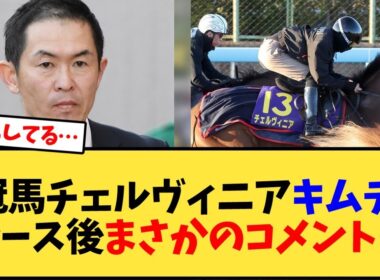 【マイルCS】2冠馬チェルヴィニアキムテツレース後まさかのコメント…【競馬反応集】