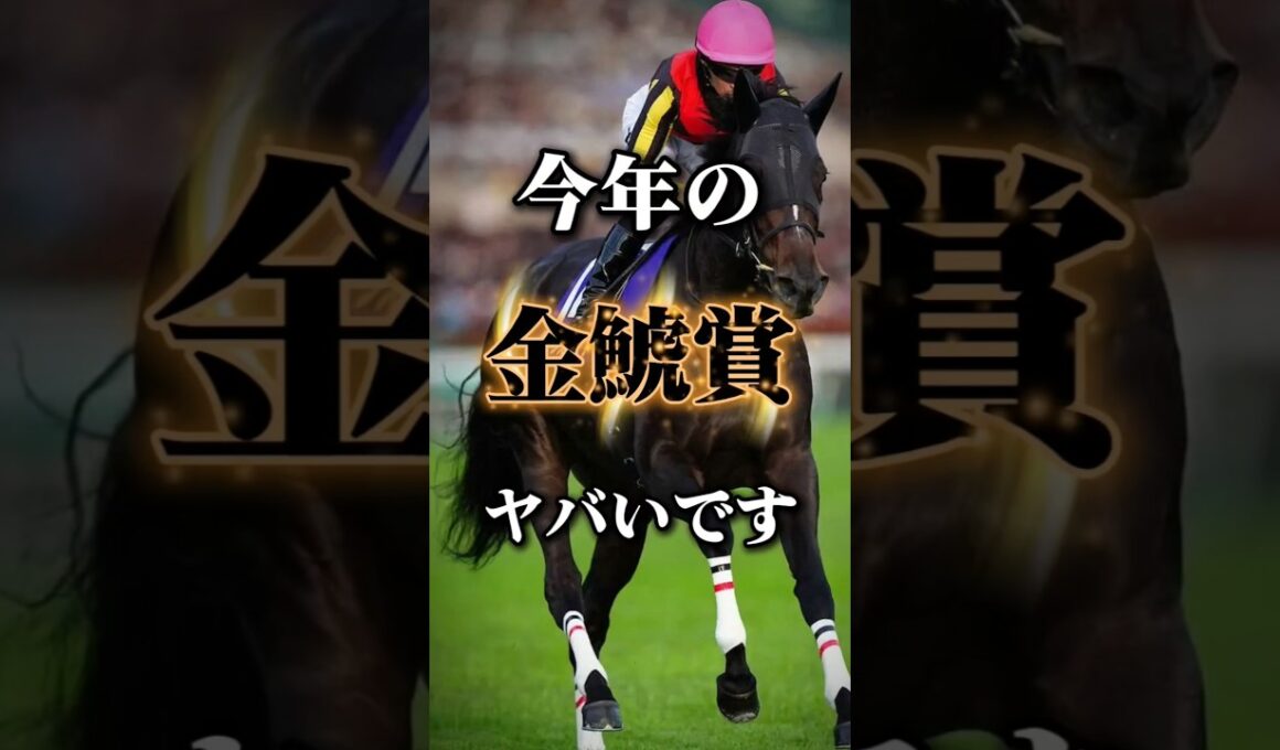 大阪杯向けた重要な1戦！今年の金鯱賞の個人的注目馬発表！#競馬 #競馬予想 #中央競馬予想 #金鯱賞 #東海テレビ杯金鯱賞#金鯱賞2026#東海テレビ杯金鯱賞2026#注目馬