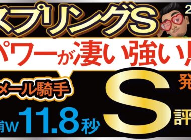 【スプリングステークス2026予想・有力馬解説・外厩】ルメール騎手がパワーが凄い強い馬と発言するS評価馬！アスクエジンバラ、クレパスキュラー、サウンドムーブ、テルヒコウ、アウダーシア、ルメール参戦。