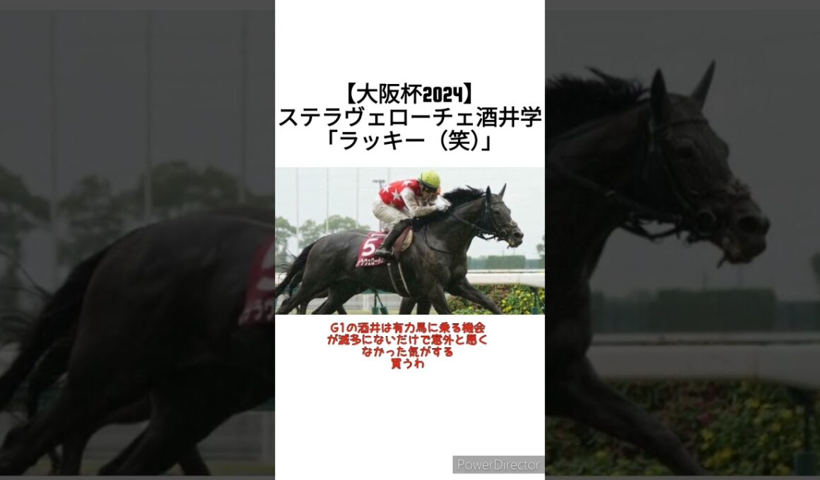 【大阪杯2024】ステラヴェローチェ酒井学「ドバイと日にちがかぶってラッキー笑」　 #競馬