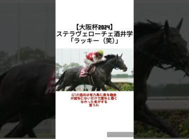 【大阪杯2024】ステラヴェローチェ酒井学「ドバイと日にちがかぶってラッキー笑」　 #競馬