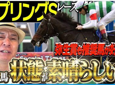 【スプリングS2026】弥生賞も推奨馬が好走！今回も皐月賞トライアルを太組不二雄がジャッジ！《東スポ競馬》