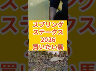 スプリングS 2026生きる馬3頭#スプリングステークス2026#スプリングS予想#競馬予想#AI競馬予想#中山競馬#皐月賞トライアル#アスクエジンバラ#クレパスキュラー#マイネルシンベリン