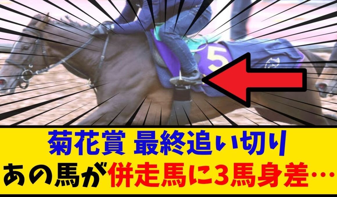 【菊花賞】「最終追い切り あの馬が併走馬に3馬身差って凄くない？」に対するみんなの反応【反応集】