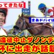【競馬の反応集】今年の大阪杯史上最高のメンバーになるか！？ダノンデサイル ドバイ遠征を取り止めで大阪杯出走が話題に！！【競馬】