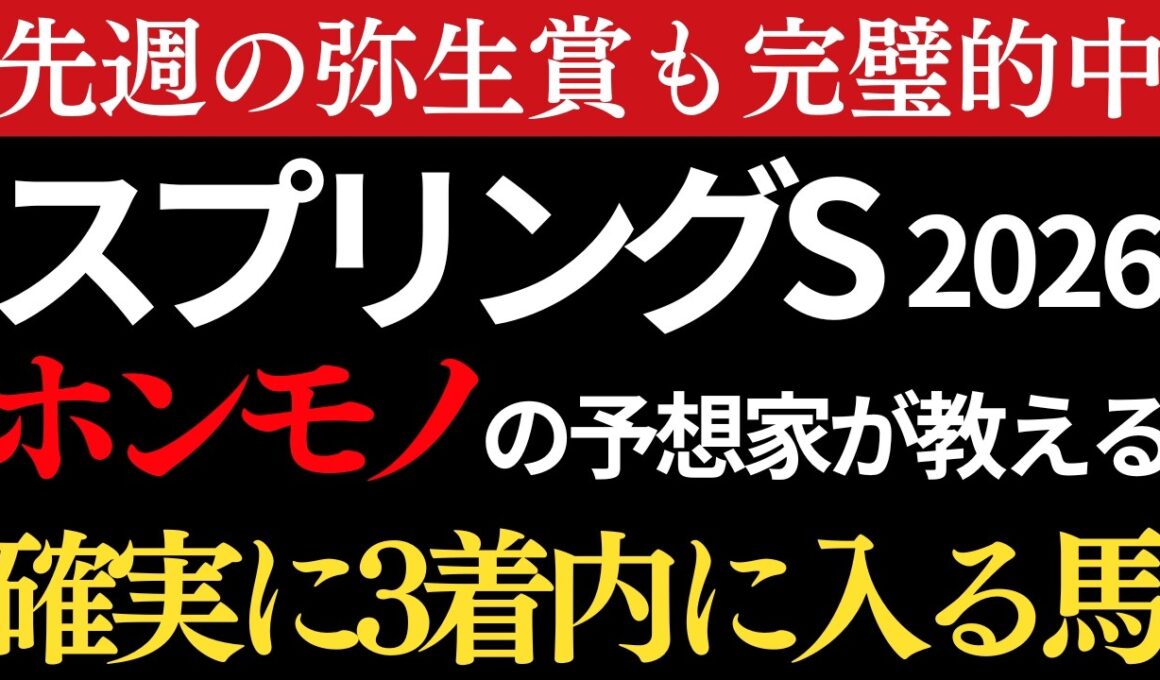 【スプリングステークス2026 予想】本物の予想家が間違いなく3着以内に入る馬を教えます。弥生賞は最終予想的中🎯