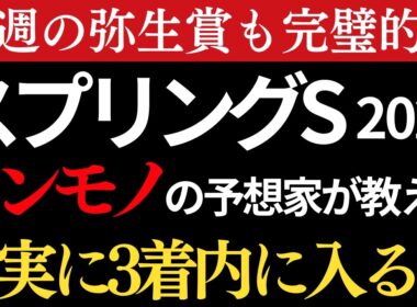 【スプリングステークス2026 予想】本物の予想家が間違いなく3着以内に入る馬を教えます。弥生賞は最終予想的中🎯
