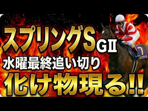 最終追い切り徹底解説【2026スプリングS】有力馬診断｜軍師AI競馬予想｜怪物クレパスキュラーか？ホープフル3着アスクエジンバラか？皐月賞トライアル徹底分析｜有力馬診断＆穴馬2頭も徹底解説