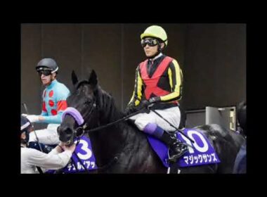 NHKマイルC2着マジックサンズは３頭併せ最先着　北村助手「これからが楽しみ」／東京新聞杯