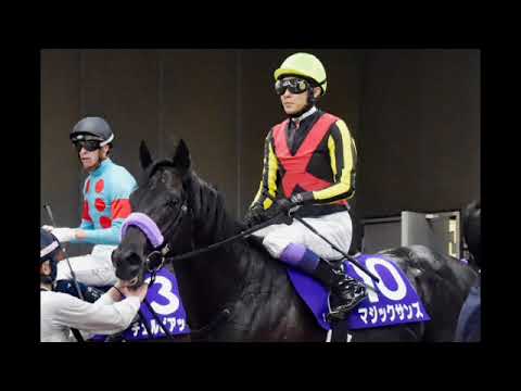 NHKマイルC2着マジックサンズは３頭併せ最先着　北村助手「これからが楽しみ」／東京新聞杯