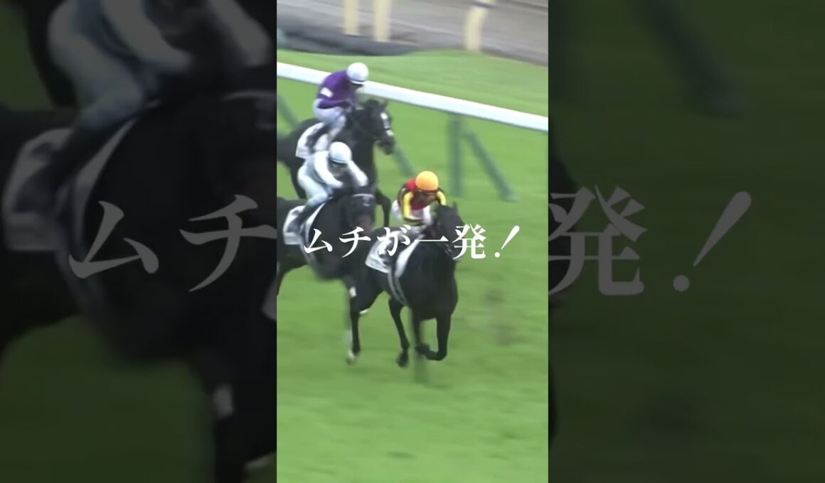 "もう手綱は放さない"日本ダービー2025 #競馬 #日本ダービー2025 #クロワデュノール #北村友一