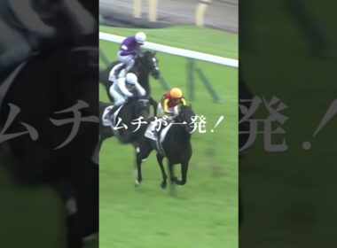 "もう手綱は放さない"日本ダービー2025 #競馬 #日本ダービー2025 #クロワデュノール #北村友一