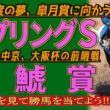 《スプリングS》生涯一度の夢、皐月賞に向かう3頭は？＆《金鯱賞》開幕週の中京、大阪杯の前哨戦//出走馬を見て相馬眼を磨き、勝馬を探し出す『必須動画』！【トレセンパドック2026】