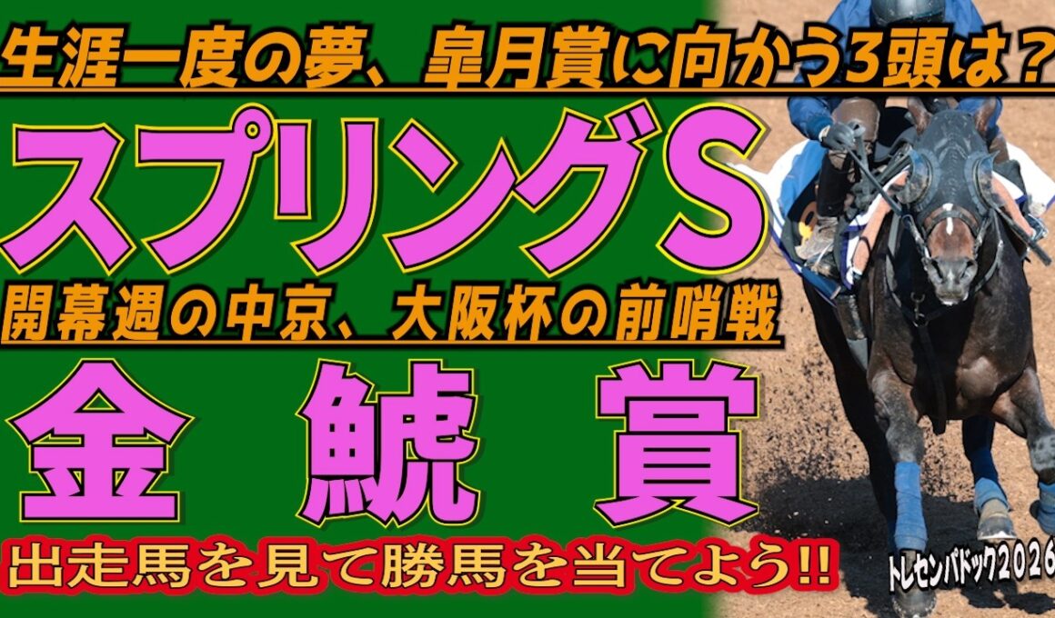 《スプリングS》生涯一度の夢、皐月賞に向かう3頭は？＆《金鯱賞》開幕週の中京、大阪杯の前哨戦//出走馬を見て相馬眼を磨き、勝馬を探し出す『必須動画』！【トレセンパドック2026】