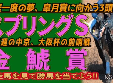 《スプリングS》生涯一度の夢、皐月賞に向かう3頭は？＆《金鯱賞》開幕週の中京、大阪杯の前哨戦//出走馬を見て相馬眼を磨き、勝馬を探し出す『必須動画』！【トレセンパドック2026】