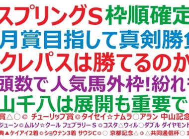 スプリングステークス2026枠順確定　皐月賞目指して真剣勝負！⑫クレパスキュラーは勝てるのか？！多頭数で人気馬外枠！紛れもある？中山芝1800mは、展開も重要です。