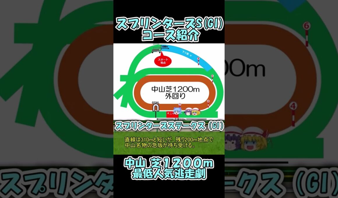 スプリンターズステークスコース紹介