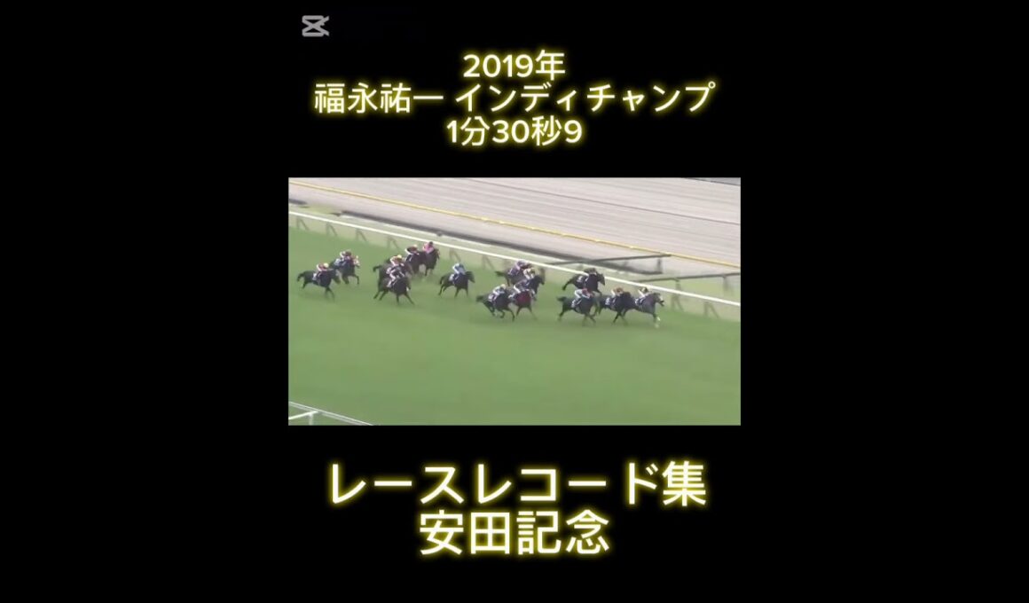 レースレコード集　安田記念