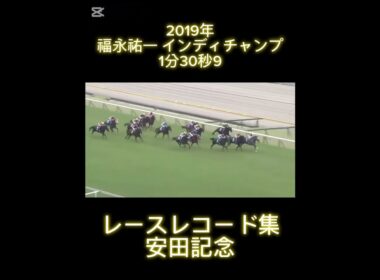 レースレコード集　安田記念