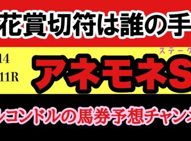 エルコンドルのアネモネステークス2026予想｜桜花賞TRで権利争い激化！バルボアパーク・ディアダイヤモンドら激突！非凡な才能の伏兵が激戦を断つ！