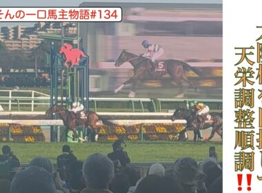 【レーベンスティール次走情報】大阪杯を目指すレーベン！まずは回復に専念して、GI制覇の頂へ！！