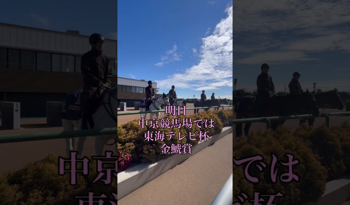 中山競馬場3週目、本日のメインレースは桜花賞トライアル『アネモネステークス』