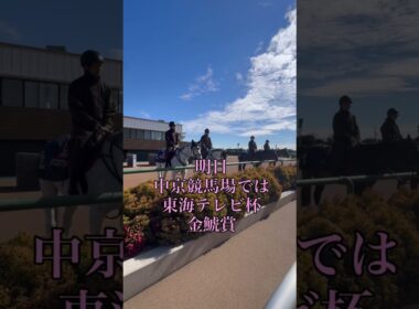 中山競馬場3週目、本日のメインレースは桜花賞トライアル『アネモネステークス』