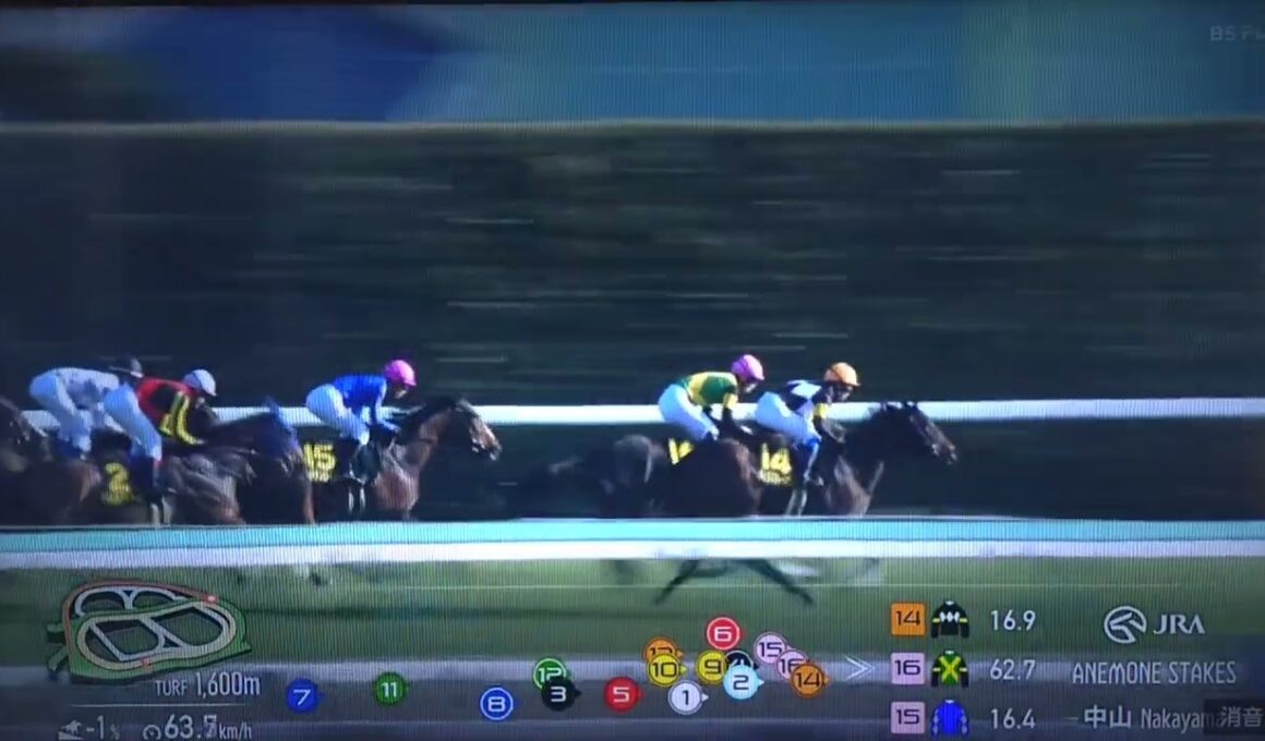 2026/3/14 中山11R アネモネステークス(L)【桜花賞トライアル最終便 切符は2枚】