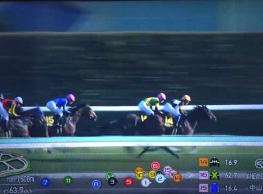 2026/3/14 中山11R アネモネステークス(L)【桜花賞トライアル最終便 切符は2枚】