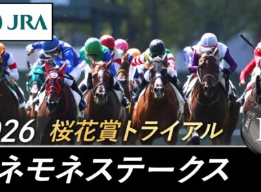 2026年 アネモネステークス（L） | JRA公式