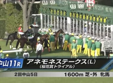 中山11R アネモネステークス（L） 〈桜花賞トライアル〉