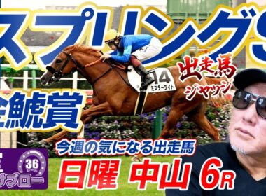 【2026 スプリングS】出走馬ジャッジ