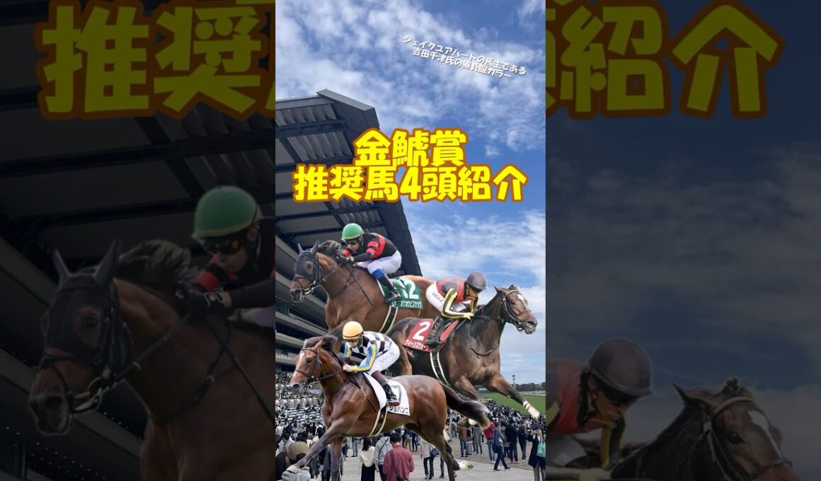 【金鯱賞2026 推奨馬を4頭紹介】大阪杯への切符を手にするにはどの馬だ!? #shorts #競馬予想 #金鯱賞