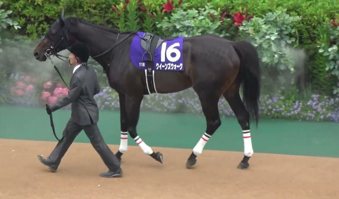 【ヴィクトリアマイル2025】 全頭パドックとGⅠの雰囲気 現地映像 アスコリピチェーノ