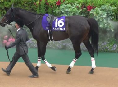 【ヴィクトリアマイル2025】 全頭パドックとGⅠの雰囲気 現地映像 アスコリピチェーノ