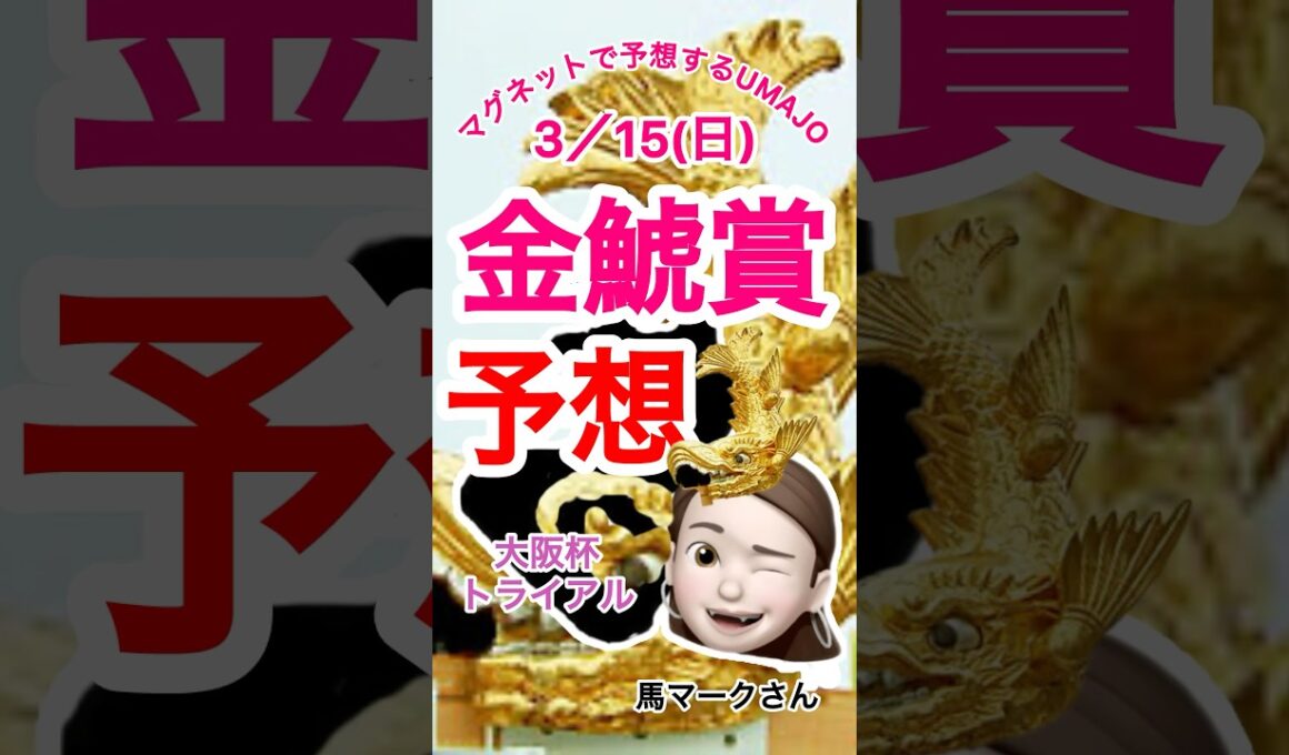 2026/03/15 金鯱賞予想　大阪杯トライアル　本命はヴィレム　　　マイコ〜ディー騎手に期待