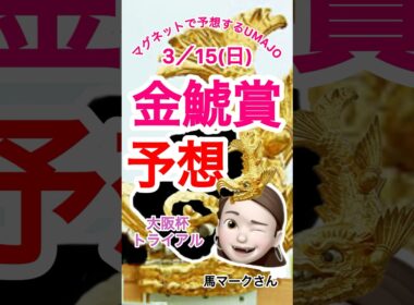 2026/03/15 金鯱賞予想　大阪杯トライアル　本命はヴィレム　　　マイコ〜ディー騎手に期待