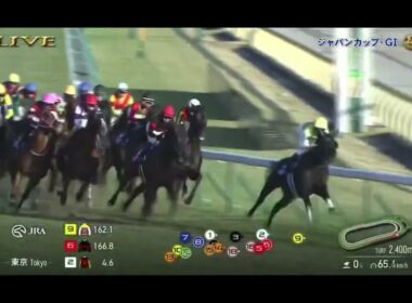 2025年第45回ジャパンカップG1 カランダガン　Mバルザローナ