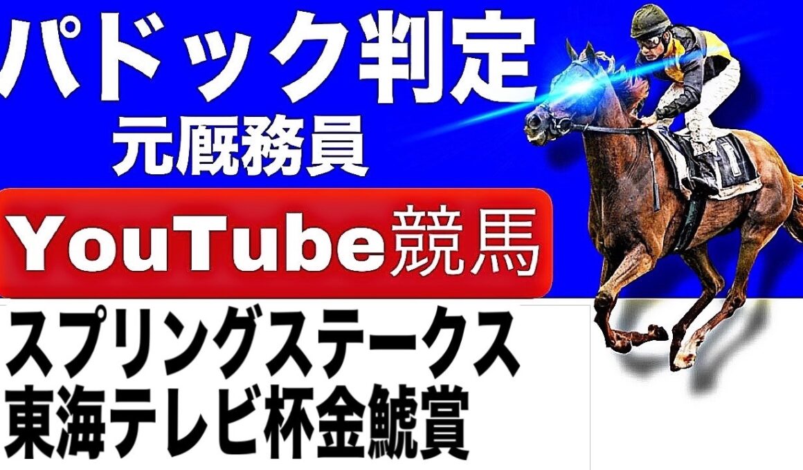 金鯱賞2026完全予想！スプリングステークス2026完全予想！今年の注目馬とパドックを徹底解説！