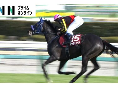 【大阪杯＆皐月賞へ 春を動かすダブル重賞金鯱賞＆スプリングS・GⅡ】金鯱賞はシェイクユアハートが大接戦制し重賞2勝目！スプリングステークスではレースレコード更新！アウダーシアが豪快な差し切りV