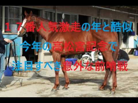１７番人気が激走大波乱の年と酷似する今年の高松宮記念　注目すべき意外な前哨戦