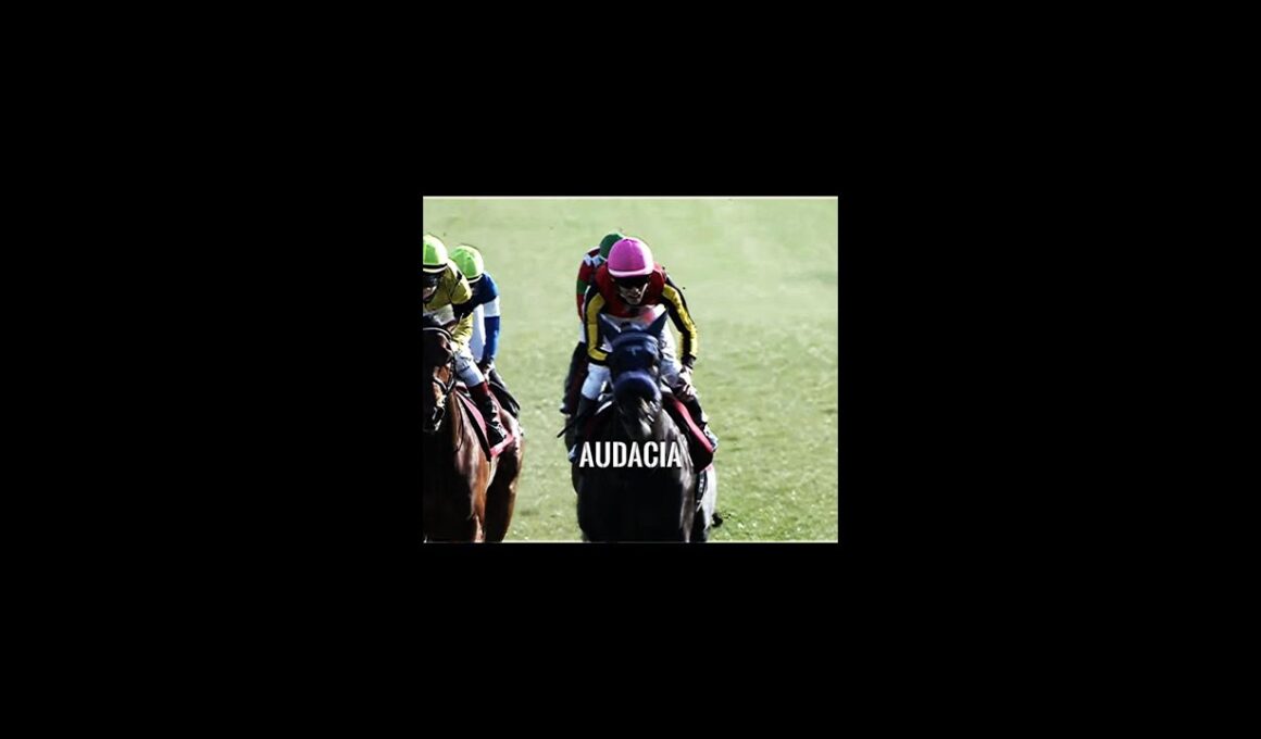 皐月賞2026 有力馬 【Amor Na Praia】