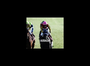 皐月賞2026 有力馬 【Amor Na Praia】