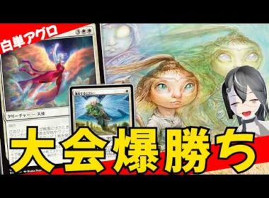 【MTGArena】チャンピオンズカップファイナル準優勝！！新型白単アグロが強すぎる！！【ミュータントタートルズ】【スタンダード】