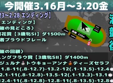 【桜花賞week🌸】観るだけで👀浦和競馬の復習ができる動画🦄✨～2.28便✈️