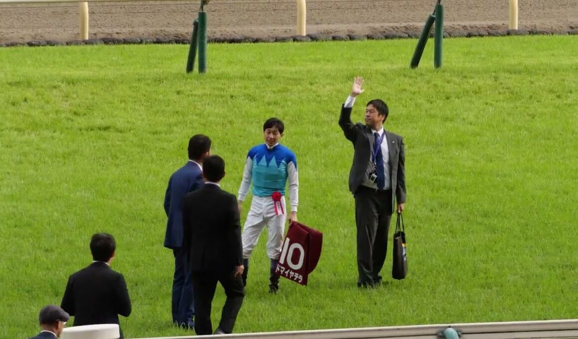 【武豊】来週末の騎乗予定！阪神大賞典アドマイヤテラ、今年もこの馬で初重賞となるか？皐月賞の切符をかけてキッコベッロも注目！マルガやイクイノックス妹にも注目