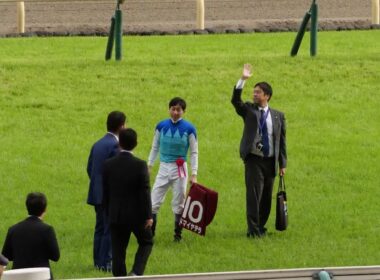 【武豊】来週末の騎乗予定！阪神大賞典アドマイヤテラ、今年もこの馬で初重賞となるか？皐月賞の切符をかけてキッコベッロも注目！マルガやイクイノックス妹にも注目