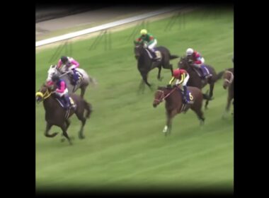 白い悪魔 #競馬 #皐月賞 #ゴールドシップ