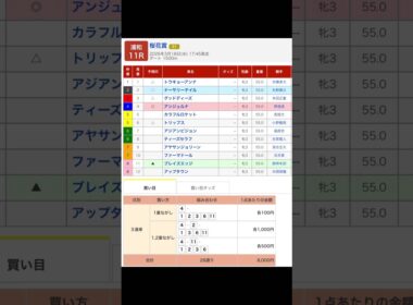 浦和競馬場 メインレース 桜花賞（Ｓ１）を予想します #競馬 #予想 #競馬予想 #買い目 #浦和11r #浦和競馬 #浦和競馬場 #地方競馬 #メインレース #馬 #桜花賞 #重賞